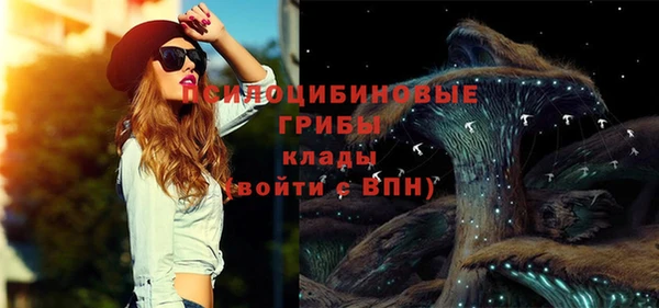 твердый Алексеевка